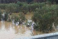 Alluvione Sardegna, trattori per ripristinare la viabilità