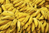 Droga nascosta in carico di banane. Giro d'affari da 60 milioni di euro