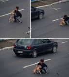 Bambino in strada salva un cane