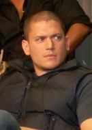 Wentworth Miller, 41 anni, statunitense